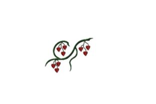 Heart Strings Vine: A Designer's Review for Boutique Apparel